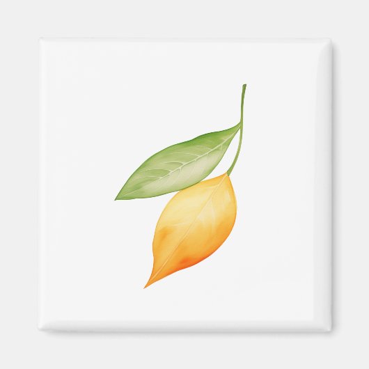 Sinaasappelblad Magneet (Voorkant)