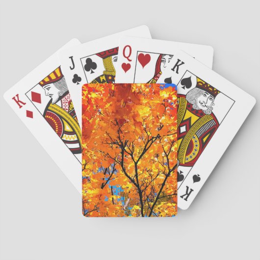 Sinaasappelbladeren Pokerkaarten (Achterkant)