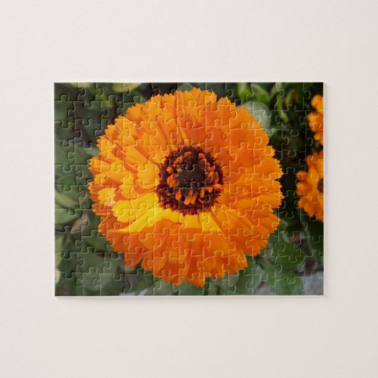 Sinaasappelbloem Legpuzzel (Horizontaal)