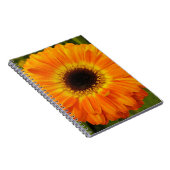 Sinaasappelbloem notitieboek (Rechterzijde)