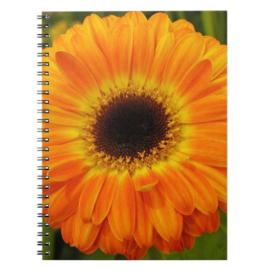 Sinaasappelbloem notitieboek (Voorkant)
