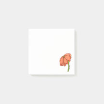 Sinaasappelbloem