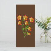 Sinaasappelbloemen (Staand voorkant)
