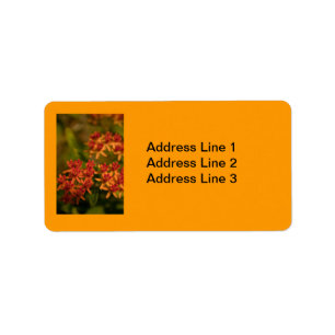 Sinaasappelbloemen in de Smoky Mountains Label