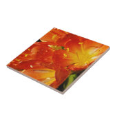 Sinaasappelbloemen Tegeltje (Zijkant)