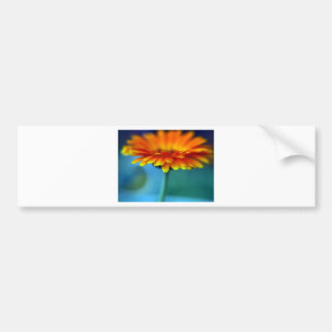 Sinaasappelbloesem Bumpersticker