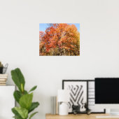 Sinaasappelbomen Poster (Thuiskantoor)