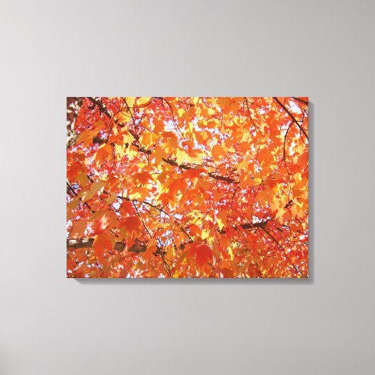 Sinaasappelboom Blad kunstprint geschenken Herfst Canvas Afdruk (Voorkant)