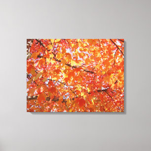 Sinaasappelboom Blad kunstprint geschenken Herfst Canvas Afdruk