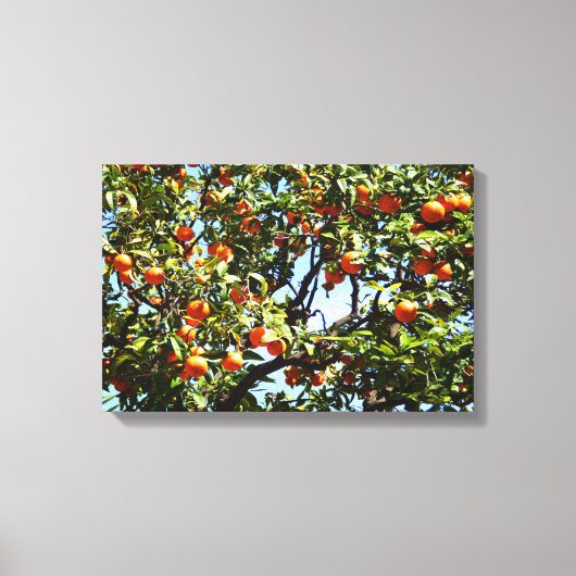 Sinaasappelboom Canvas Afdruk (Voorkant)