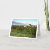 Sinaasappelboomgaard, Valencia, Spanje Kaart (Voorkant)