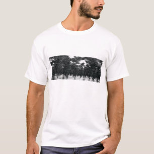 sinaasappelen t-shirt