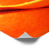 Sinaasappelfotografie Poster (Hoek)