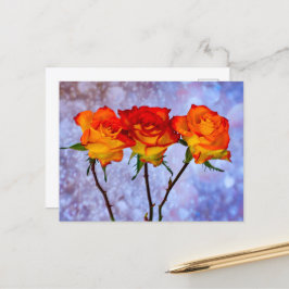 Sinaasappelgele Rozen in een Rij Ansichtkaart Briefkaart