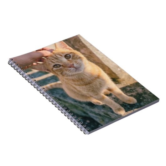 Sinaasappelkat notitieboek (Rechterzijde)