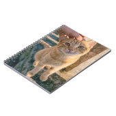 Sinaasappelkat notitieboek (Linkerzijde)