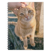 Sinaasappelkat notitieboek (Voorkant)
