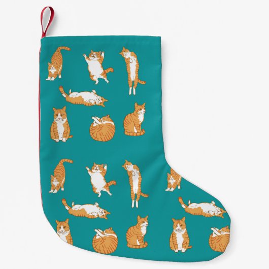 Sinaasappelkatten Grappig Kleine Kerstsok (Voorkant)