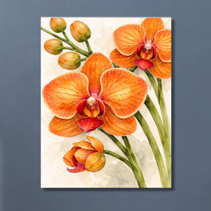 Sinaasappelkleurige Phalaenopsis Orchidee Botanisc Poster