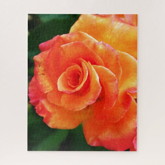 Sinaasappelroos bloem legpuzzel (Verticaal)