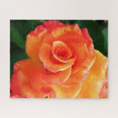 Sinaasappelroos bloem legpuzzel (Horizontaal)