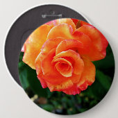Sinaasappelroos bloem ronde button 6,0 cm (Voorkant /achterkant)