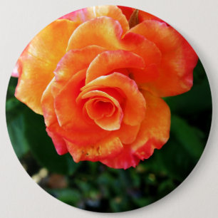 Sinaasappelroos bloem ronde button 6,0 cm