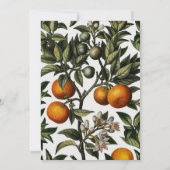 Sinaasappels 3 Foto-collage kerstmis Feestdagenkaart (Achterkant)