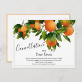 Sinaasappels Annulering Postkaart (Voorkant / Achterkant)