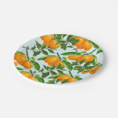 Sinaasappels Borden papier Papieren Bordje (Gekanteld)