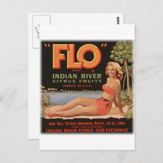  Sinaasappels Briefkaart (Voorkant / Achterkant)