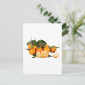 Sinaasappels Briefkaart (Staand voorkant)