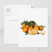 Sinaasappels Briefkaart (Voorkant / Achterkant)