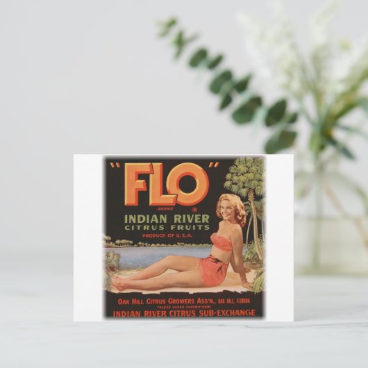  Sinaasappels Briefkaart (Staand voorkant)