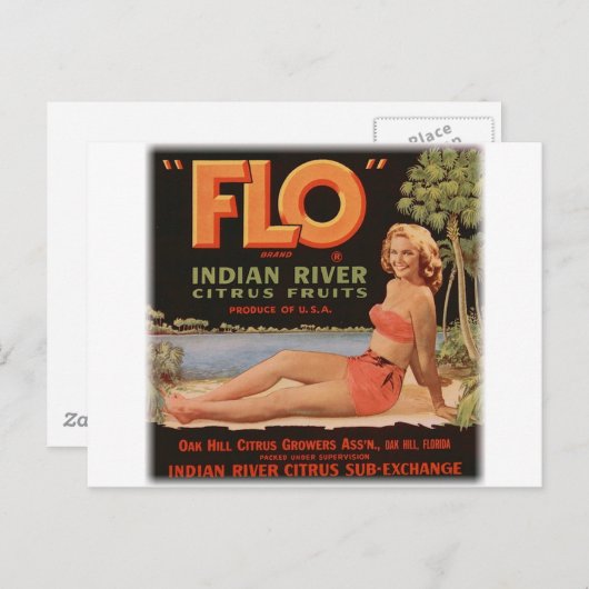  Sinaasappels Briefkaart (Voorkant / Achterkant)