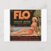  Sinaasappels Briefkaart (Voorkant)