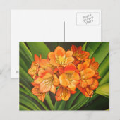 Sinaasappels Briefkaart (Voorkant / Achterkant)