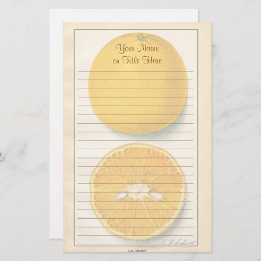  Sinaasappels briefpapier (Voorkant / Achterkant)