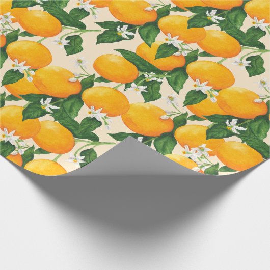 Sinaasappels Cadeaupapier (Hoek)