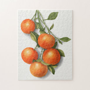 Sinaasappels (Calamondiaan) Waterverf van fruit Legpuzzel