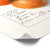 Sinaasappels (Calamondiaan) Waterverf van fruit Poster (Hoek)