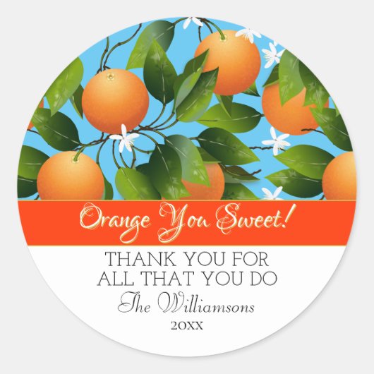 Sinaasappels Citrus Fruit Inblikken | Dank U Ronde Sticker (Voorkant)