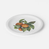 Sinaasappels Citrus Greenery Papieren Bordje (Gekanteld)