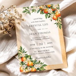 Sinaasappels Citrusvruchten Groene boomgaard bruil Kaart