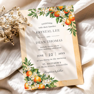 Sinaasappels Citrusvruchten Groene boomgaard bruil Kaart