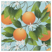Sinaasappels Citrusvruchten Stof (Close Up)