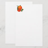 Sinaasappels Crate Art Briefpapier (Voorkant / Achterkant)