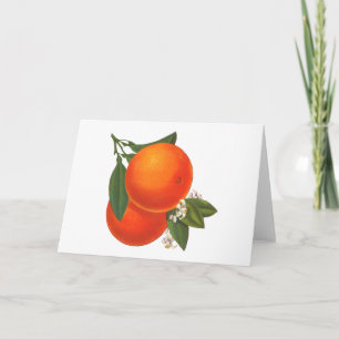 Sinaasappels Crate Blank Art Kaart