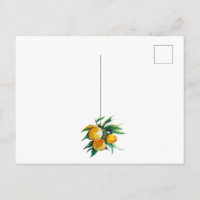 Sinaasappels en bloemen ansichtkaart