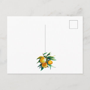 Sinaasappels en bloemen ansichtkaart briefkaart